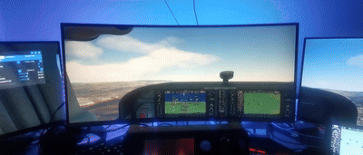 Flight Sim GIF